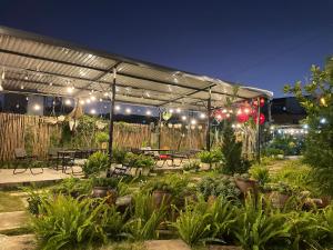 eine Terrasse mit vielen Pflanzen und Lichtern in der Unterkunft Mộc Homestay - Mộc Châu in Mộc Châu