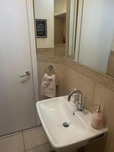 een badkamer met een wastafel en een spiegel en een douche bij Temple Bar Loft in Dublin