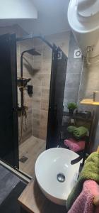 een badkamer met een wastafel en een douche bij Apartman Mia in Čačak +21 foto's