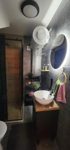 een badkamer met een wastafel en een douche bij Apartman Mia in Čačak