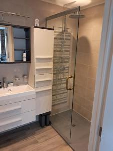 een badkamer met een douche en een wastafel bij Domus moerenpoort in Tongeren