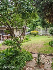 a garden with a tree and a table and a fence at Habakkuk Guesthouse in Bethlehem