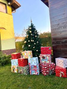 una pila di regali di Natale davanti all'albero di Natale di Vila Suveranii a Braşov