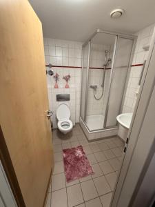een badkamer met een douche, een toilet en een wastafel bij Leos und Armando Gjuci GbR in Großpostwitz
