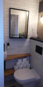een badkamer met een toilet en een spiegel bij Seeloft in Gmunden