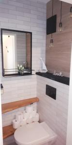 een witte badkamer met een toilet en een spiegel bij Seeloft in Gmunden
