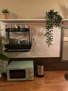 een keuken met een magnetron en een plank met kommen bij Urban Capsule in Dresden