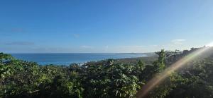 Příroda nedaleko hotelu