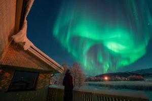Eine Person steht vor einem Gebäude und schaut in die Nordlichter. in der Unterkunft Casa Hikari - Lofoten Retreat in Vestvågøya + 37 Fotos