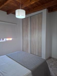 een slaapkamer met een bed en een houten kast bij Vista Malbec 1 in Ciudad Lujan de Cuyo