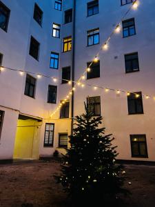 a christmas tree in front of a building with lights at GREEN Apartment in Riga +26 photos