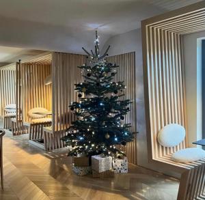 a christmas tree with presents under it in a room at Garden Retreat in Bran
