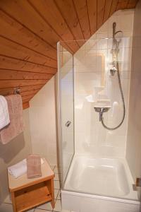 een badkamer met een douche, een wastafel en een bad bij Gipfelglück Appartements - Ski in & Ski out in Bad Kleinkirchheim