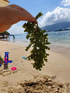 Příroda nedaleko penzionu