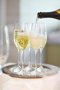 trois verres de vin blanc sur un plateau dans l'établissement Historisches Bijou in Beromünster, Golf & Luzern, à Beromünster