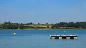 une jetée au milieu d'un grand lac dans l'établissement Historisches Bijou in Beromünster, Golf & Luzern, à Beromünster 2 autres photos