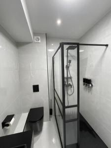 een badkamer met douche en toilet bij Letterkenny Town Centre Apartment in Letterkenny