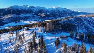 Naturlandskabet i nærheden af lodgen