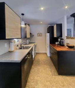 a kitchen with a sink and a refrigerator at Chalet de la Roche Plate in Saint-Raymond
