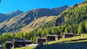 Naturlandskabet i nærheden af lejligheden + 9 billeder