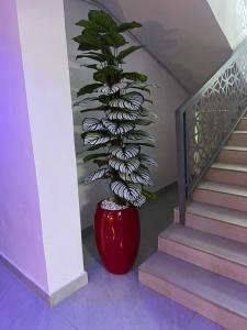 Billede fra billedgalleriet på De Generals Hotel i Ibadan