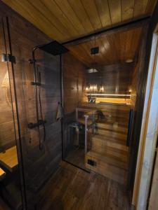 een badkamer met een douche en een wastafel bij Tähetee Majake in Palometsa