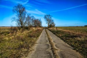 an old road in the middle of a field at Ferienhaus Zur Oie in Bresewitz +8 photos