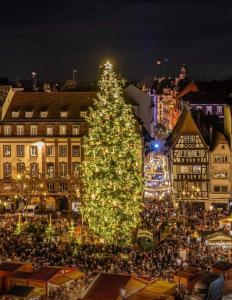 een kerstboom in het midden van een menigte mensen bij One City Lodge in Illkirch-Graffenstaden