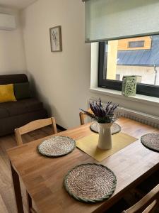 Χώρος καθιστικού στο Apartman nad Metují