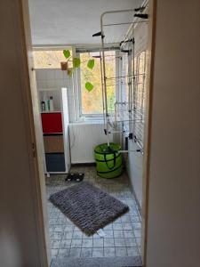 - une cuisine avec une fenêtre et un tapis au sol dans l'établissement Cricri, à Lelystad