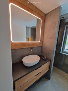 une salle de bains avec un lavabo et un miroir dans l'établissement Historisches Bijou in Beromünster, Golf & Luzern, à Beromünster