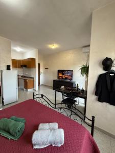 Et tv og/eller underholdning på Residenza Anagnina