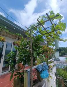 Billede fra billedgalleriet på The peace home i Tấn Tài