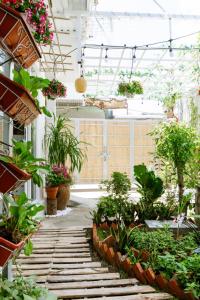 Billede fra billedgalleriet på The peace home i Tấn Tài