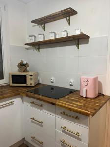 een keuken met een aanrecht met een magnetron bij Appartement Troyes in Troyes