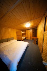 En eller flere senge i et værelse på Chata SKI Jezersko