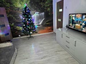 einen Weihnachtsbaum in einem Wohnzimmer mit einem TV in der Unterkunft Apartament 2 camere Brazda lui Novac in Craiova
