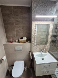 un bagno con un water bianco e un lavandino di Edge Apartament a Cristuru Secuiesc