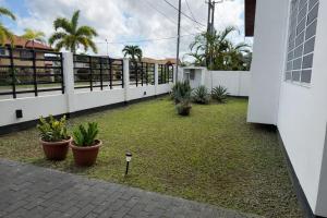 a courtyard of a building with potted plants at Maison Meredith in Paramaribo +10 photos