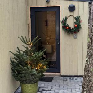 Ein Weihnachtsbaum in einem Topf vor einer Tür in der Unterkunft Tago Forest - Dune Apartments in Jūrmalciems