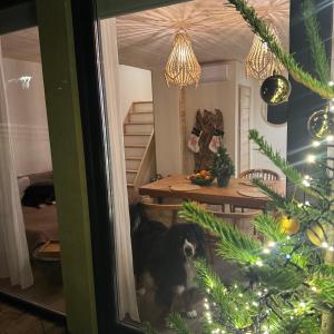 Ein Hund sitzt in einem Zimmer mit einem Weihnachtsbaum in der Unterkunft Tago Forest - Dune Apartments in Jūrmalciems