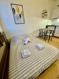 Ένα ή περισσότερα κρεβάτια σε δωμάτιο στο Hyper Centre de Valence - Studio 41 +2 φωτογραφίες