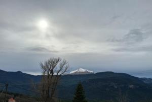 ein schneebedeckter Berg in der Ferne mit einem Baum in der Unterkunft Ξενώνας Αστερωδή in Karya