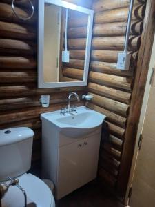 un bagno con un water, un lavandino e uno specchio di Cabaña Rincón del Aarón a Ciudad Lujan de Cuyo