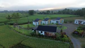 Příroda nedaleko vily