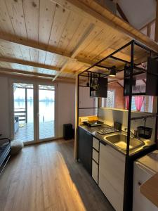 a kitchen with a stove and a sink in a room at Splav Sava in Ostružnica