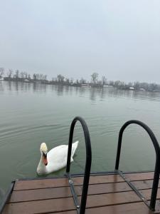 Příroda nedaleko prázdninového domu