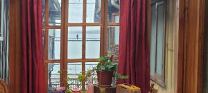 una finestra con una pianta in vaso davanti di Hosteria Quellon a Quellón