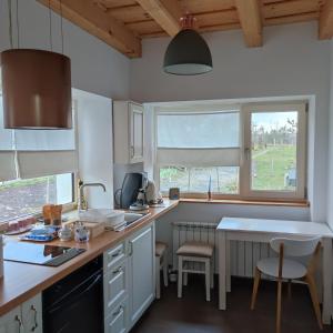 Køkken eller tekøkken på Casa Via Viscri