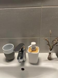 een wastafel in de badkamer met een zeepdispenser en een kraan bij Casa Shay Brasov in Braşov +17 foto's